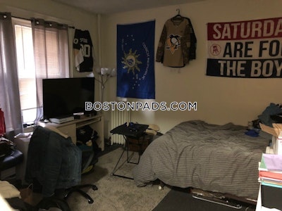 Mission Hill Apartment for rent Studio 1 Bath Boston - $2,000