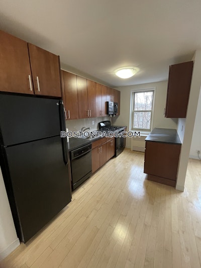 Brighton Apartment for rent 2 Bedrooms 1 Bath Boston - $3,791 No Fee