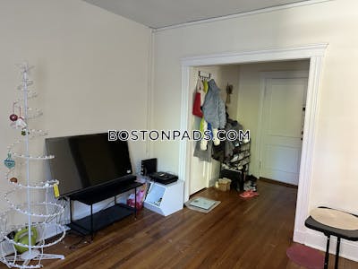 Brighton Apartment for rent 1 Bedroom 1 Bath Boston - $2,400 No Fee