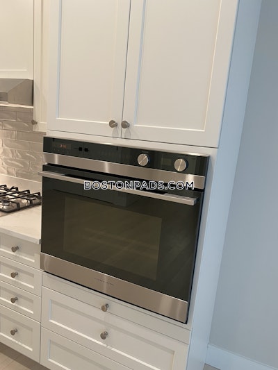Jamaica Plain Apartment for rent 1 Bedroom 1 Bath Boston - $3,075 No Fee