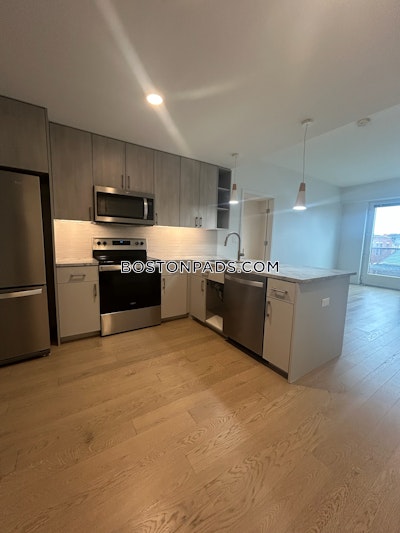 Allston 2 Beds 2 Baths Boston - $4,900 No Fee
