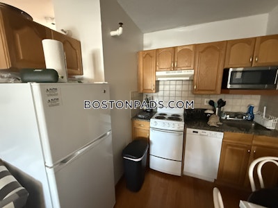Allston Apartment for rent Studio 1 Bath Boston - $2,150