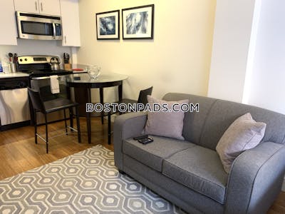 Downtown Beautiful Studio 1 Bath Boston - $2,750 No Fee