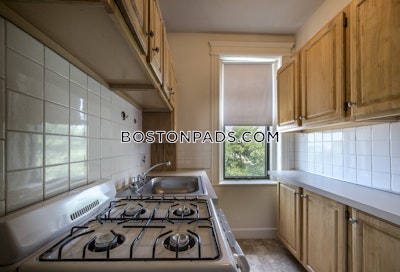 Allston Apartment for rent Studio 1 Bath Boston - $2,100 No Fee