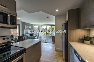 Allston Apartment for rent 2 Bedrooms 2 Baths Boston - $4,500
