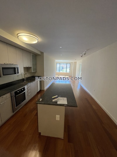 West End Apartment for rent 1 Bedroom 1 Bath Boston - $3,540