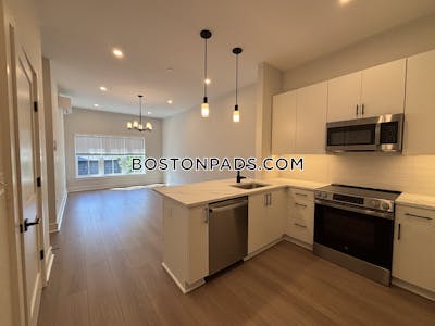 Brighton Apartment for rent 1 Bedroom 1 Bath Boston - $3,250