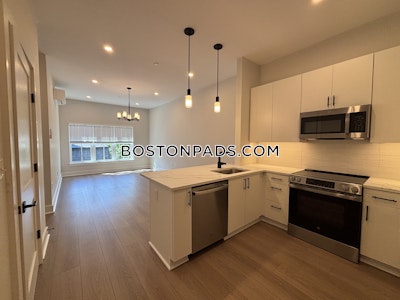Brighton Apartment for rent 1 Bedroom 1 Bath Boston - $3,250