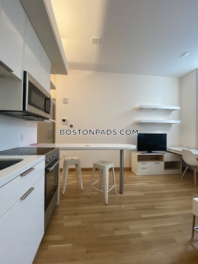 Cambridge Apartment for rent Studio 1 Bath  Harvard Square - $3,250