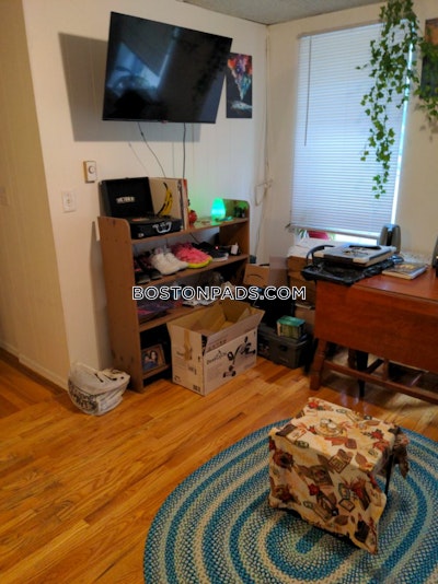 Brighton Apartment for rent 1 Bedroom 1 Bath Boston - $1,995