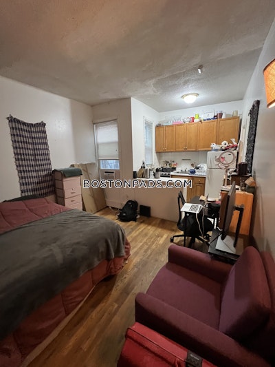 Mission Hill Apartment for rent Studio 1 Bath Boston - $2,100