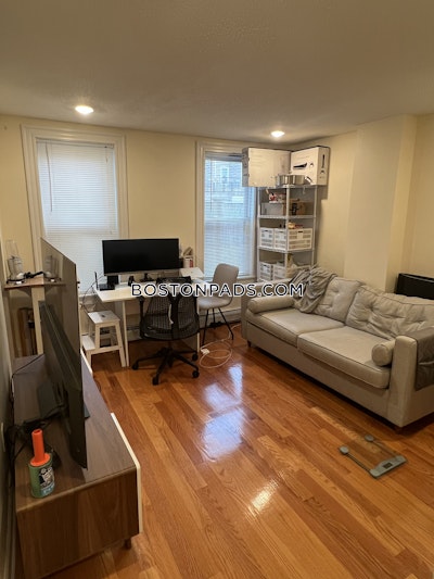 Brookline Apartment for rent 1 Bedroom 1 Bath  Brookline Village - $2,750 50% Fee