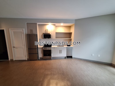 Jamaica Plain Studio  baths Luxury in BOSTON Boston - $3,745