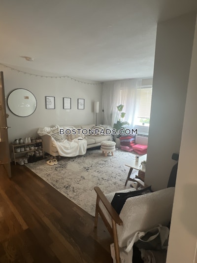 Jamaica Plain Apartment for rent 2 Bedrooms 1 Bath Boston - $3,300 No Fee