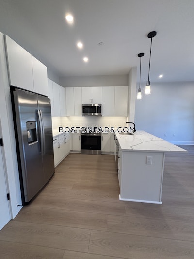 Brighton Apartment for rent 2 Bedrooms 2 Baths Boston - $4,250