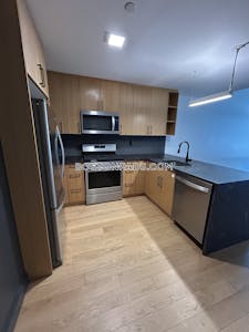Allston Apartment for rent 2 Bedrooms 2 Baths Boston - $4,275 No Fee