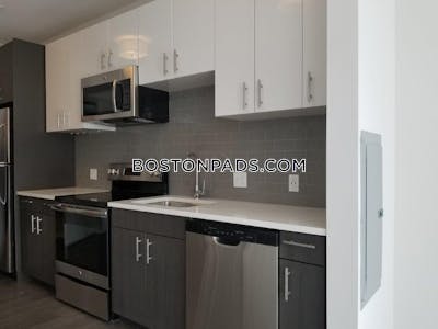 Brighton Apartment for rent 2 Bedrooms 2 Baths Boston - $3,525