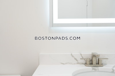 Brighton Apartment for rent 1 Bedroom 1 Bath Boston - $3,600
