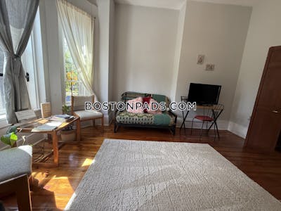 Roxbury Apartment for rent 1 Bedroom 1 Bath Boston - $2,400