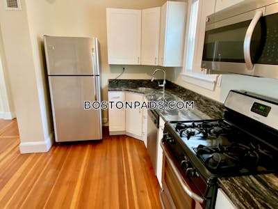 Jamaica Plain Apartment for rent 3 Bedrooms 1 Bath Boston - $3,300