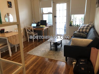 Brighton Apartment for rent 1 Bedroom 1 Bath Boston - $2,345 No Fee