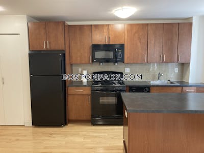 Brighton Apartment for rent 1 Bedroom 1 Bath Boston - $2,653 No Fee