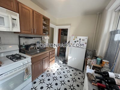 Brighton Apartment for rent 1 Bedroom 1 Bath Boston - $2,500 No Fee