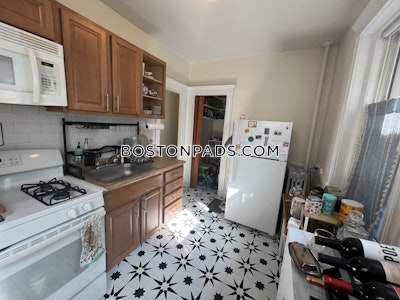 Brighton Apartment for rent 1 Bedroom 1 Bath Boston - $2,500 No Fee