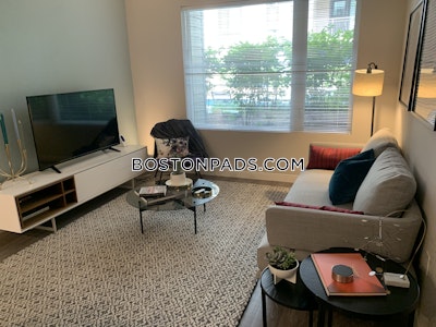 Dorchester/south Boston Border Apartment for rent 2 Bedrooms 2 Baths Boston - $5,190