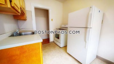 Brighton Apartment for rent 1 Bedroom 1 Bath Boston - $2,500 No Fee