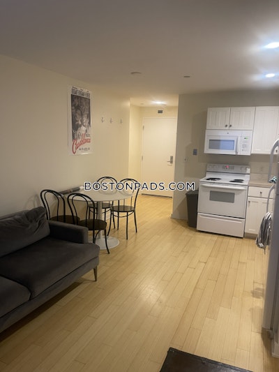 Downtown Apartment for rent 1 Bedroom 1 Bath Boston - $2,995 No Fee