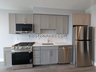 Brighton 1 bedroom 1 baths Luxury in BOSTON Boston - $3,500 No Fee