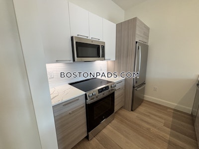 Allston Apartment for rent 1 Bedroom 1 Bath Boston - $3,450 No Fee