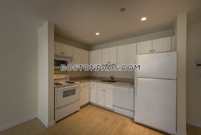 Downtown Apartment for rent 1 Bedroom 1 Bath Boston - $2,745 No Fee