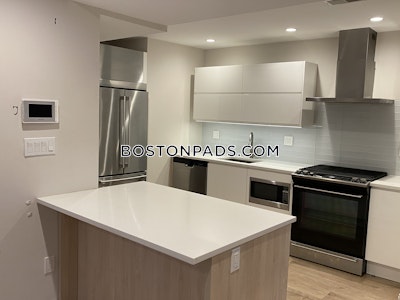 Dorchester/south Boston Border Apartment for rent 4 Bedrooms 2 Baths Boston - $4,200