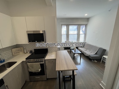 Fenway/kenmore Apartment for rent 1 Bedroom 1 Bath Boston - $2,825