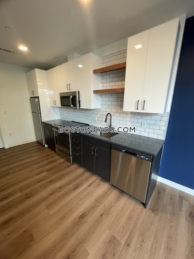 Allston Apartment for rent 1 Bedroom 1 Bath Boston - $3,978 No Fee