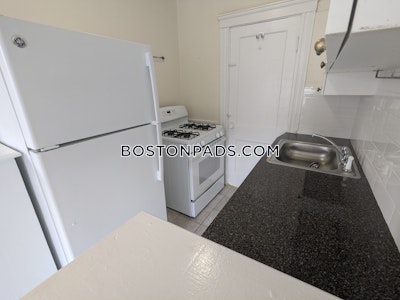 Brighton Apartment for rent 1 Bedroom 1 Bath Boston - $2,500 No Fee