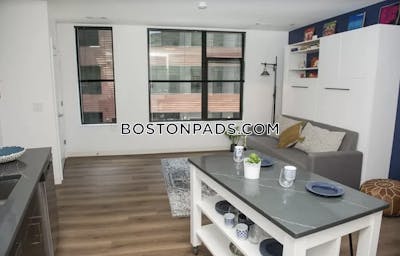 Allston Apartment for rent Studio 1 Bath Boston - $3,025 No Fee