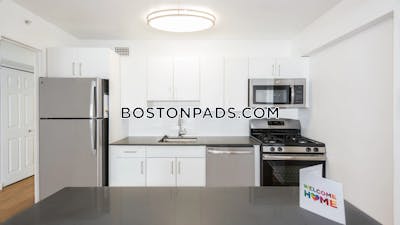 West End Apartment for rent Studio 1 Bath Boston - $2,875