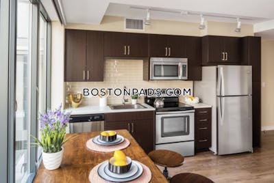 Downtown Apartment for rent Studio 1 Bath Boston - $3,480