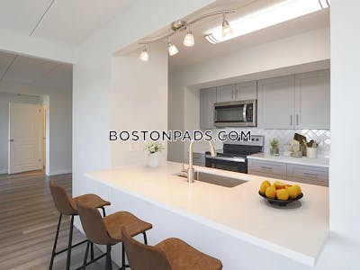 Brighton Apartment for rent 1 Bedroom 1 Bath Boston - $3,275
