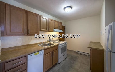 Allston Apartment for rent 1 Bedroom 1 Bath Boston - $2,500