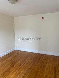Brighton Apartment for rent 1 Bedroom 1 Bath Boston - $2,500 No Fee