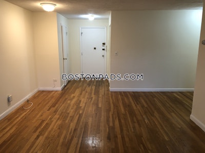Brighton Apartment for rent 1 Bedroom 1 Bath Boston - $2,475 No Fee