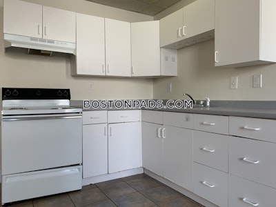 Allston/brighton Border Apartment for rent 2 Bedrooms 1 Bath Boston - $2,900