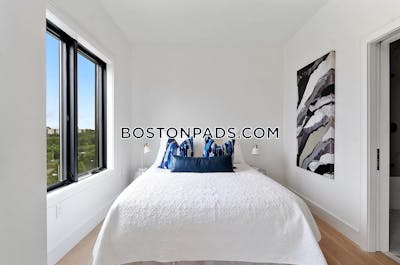 Brighton Apartment for rent 2 Bedrooms 2 Baths Boston - $4,475 No Fee