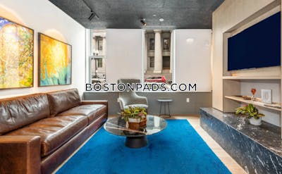 Downtown Apartment for rent 1 Bedroom 1 Bath Boston - $4,004