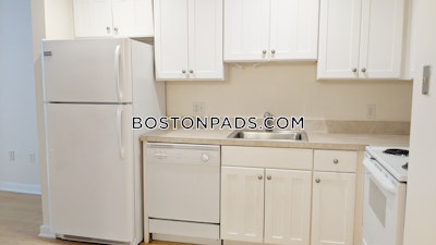 Downtown Apartment for rent 1 Bedroom 1 Bath Boston - $2,995 No Fee