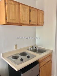 Brookline Apartment for rent Studio 1 Bath  Boston University - $1,795 No Fee